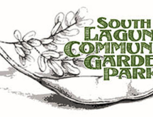 Garden Elf invites residents to sing-along at SoLag Garden on Dec 10